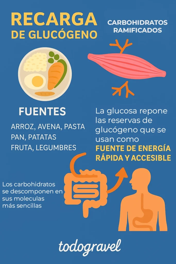 imagen explicativa de como se hace una recarga de glucogeno