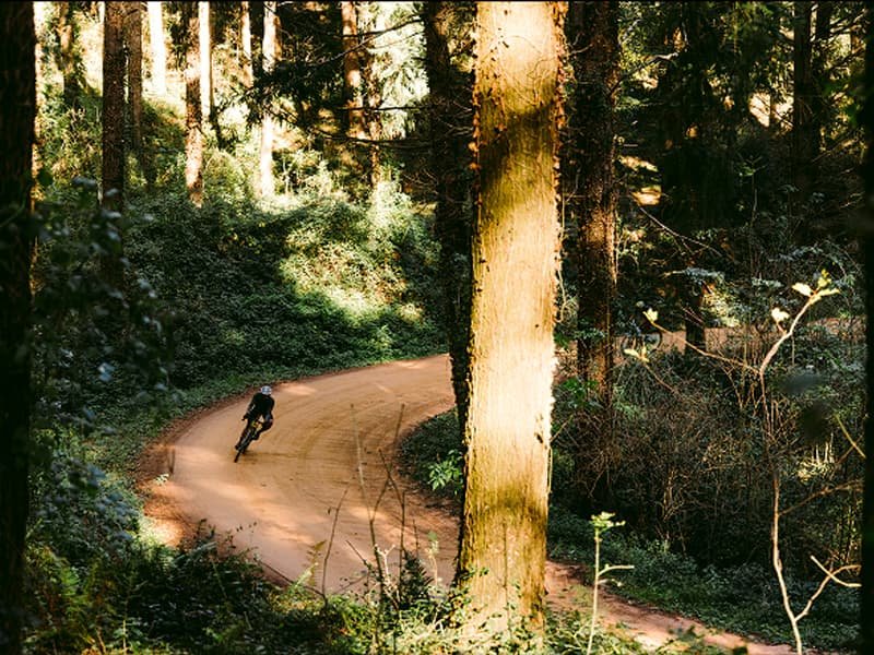 osques frondosos del Espacio Natural de Osona